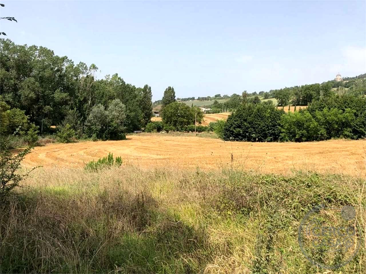 TODI - TERRENO EDIFICABILE