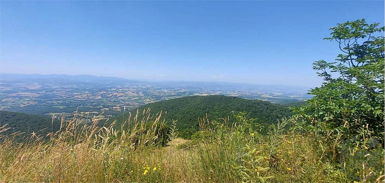 ANTICA PIEVE RISTRUTTURATA CON TERRENO