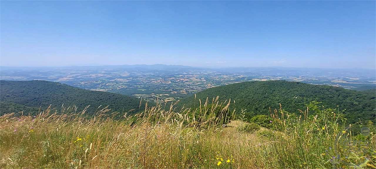 ANTICA PIEVE RISTRUTTURATA CON TERRENO
