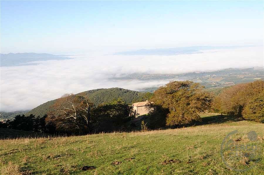 ANTICA PIEVE RISTRUTTURATA CON TERRENO