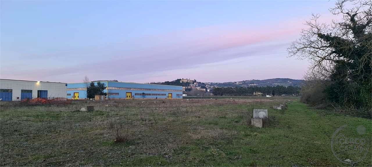 TODI - PANTALLA - CAPANNONE INDUSTRIALE