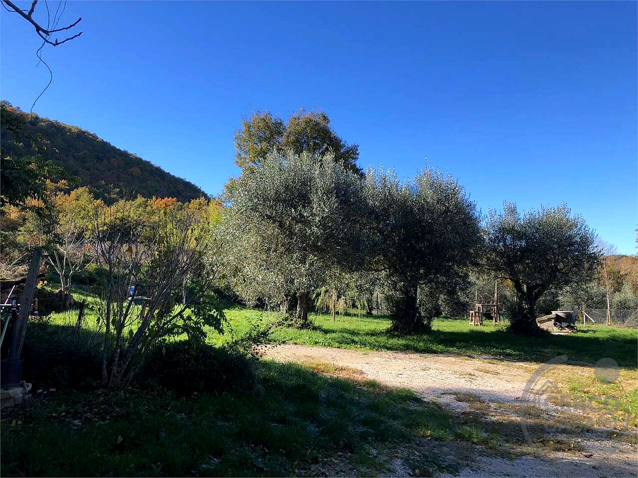 BASCHI - ACQUALORETO: CASALE IN PIETRA IN ZONA IMMERSA NEL VERDE