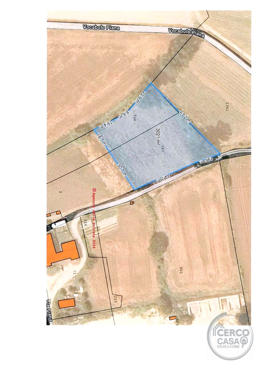 TERRENO AGRICOLO PIANEGGIANTE
