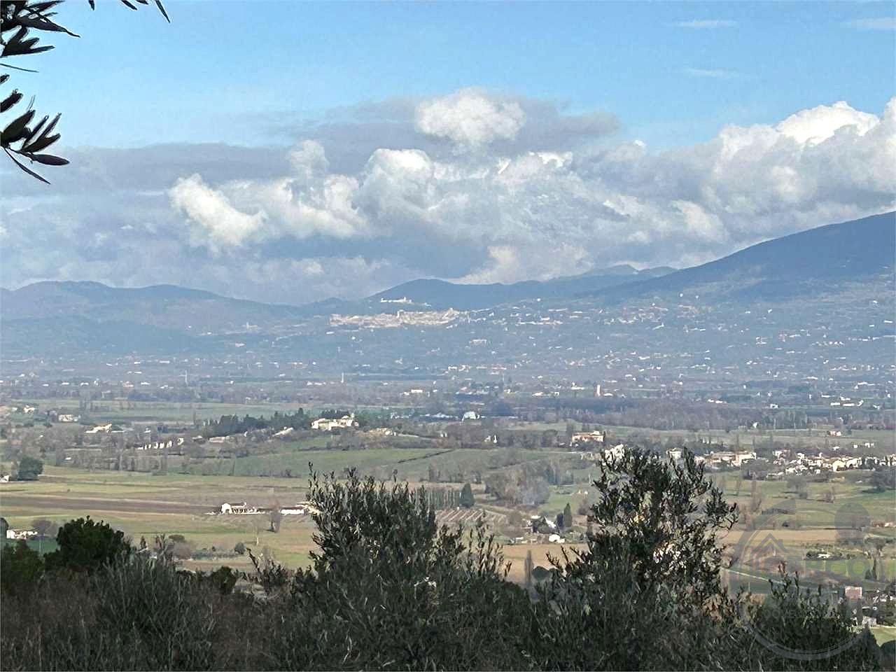 TERRENO AGRICOLO - OLIVETO