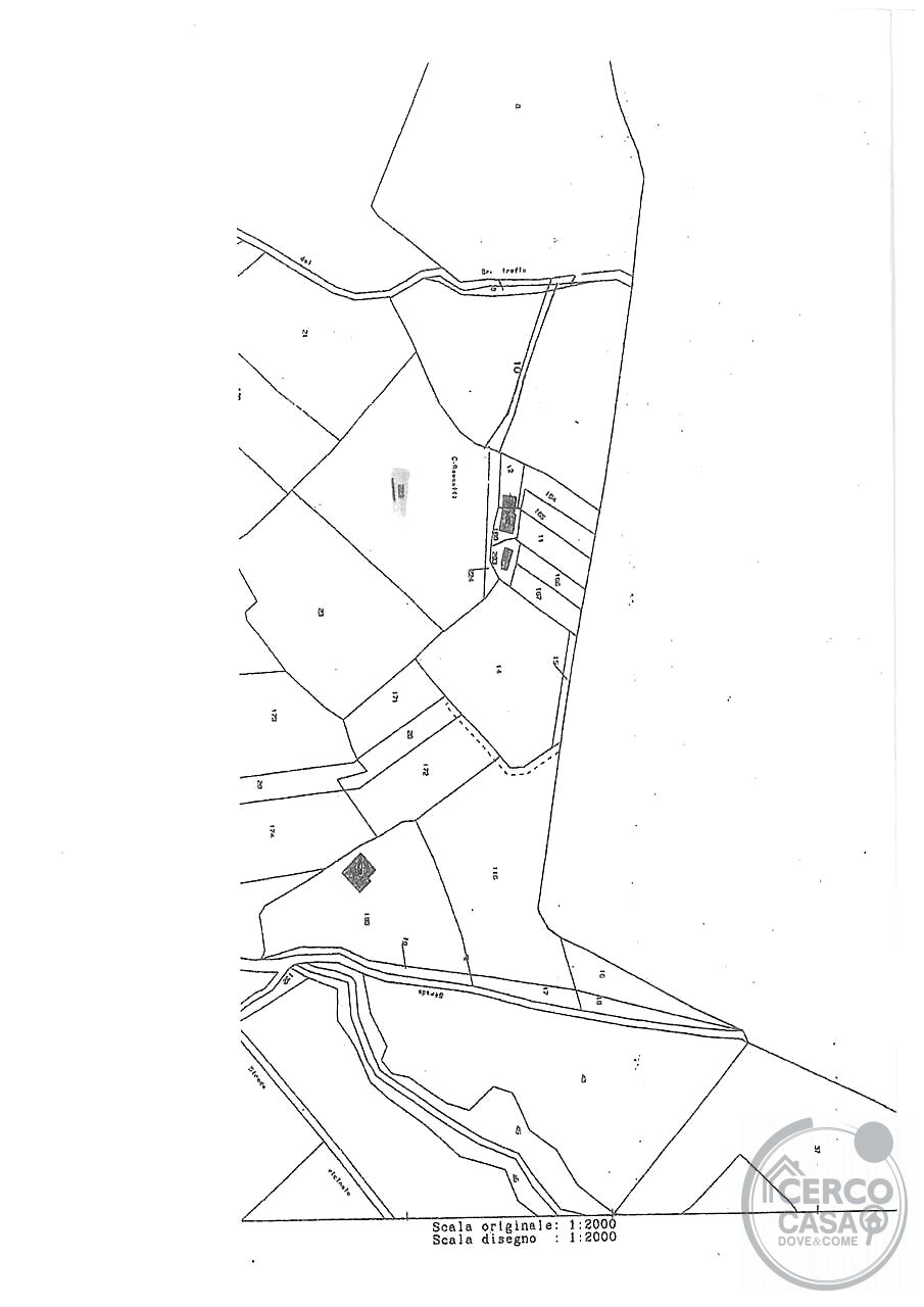 TERRENO AGRICOLO - OLIVETO