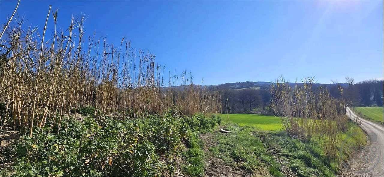 TODI - TERRENO CON CASALE DA RISTRUTTURARE