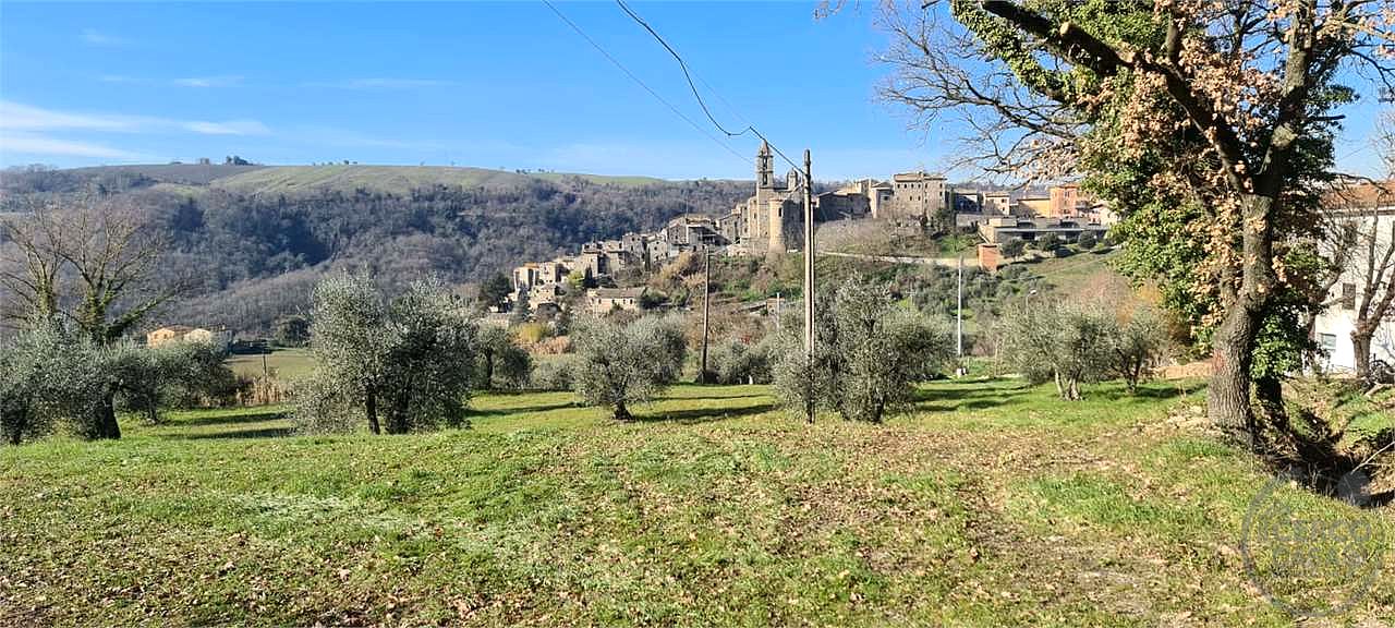 ORVIETO: TERRENO AGRICOLO