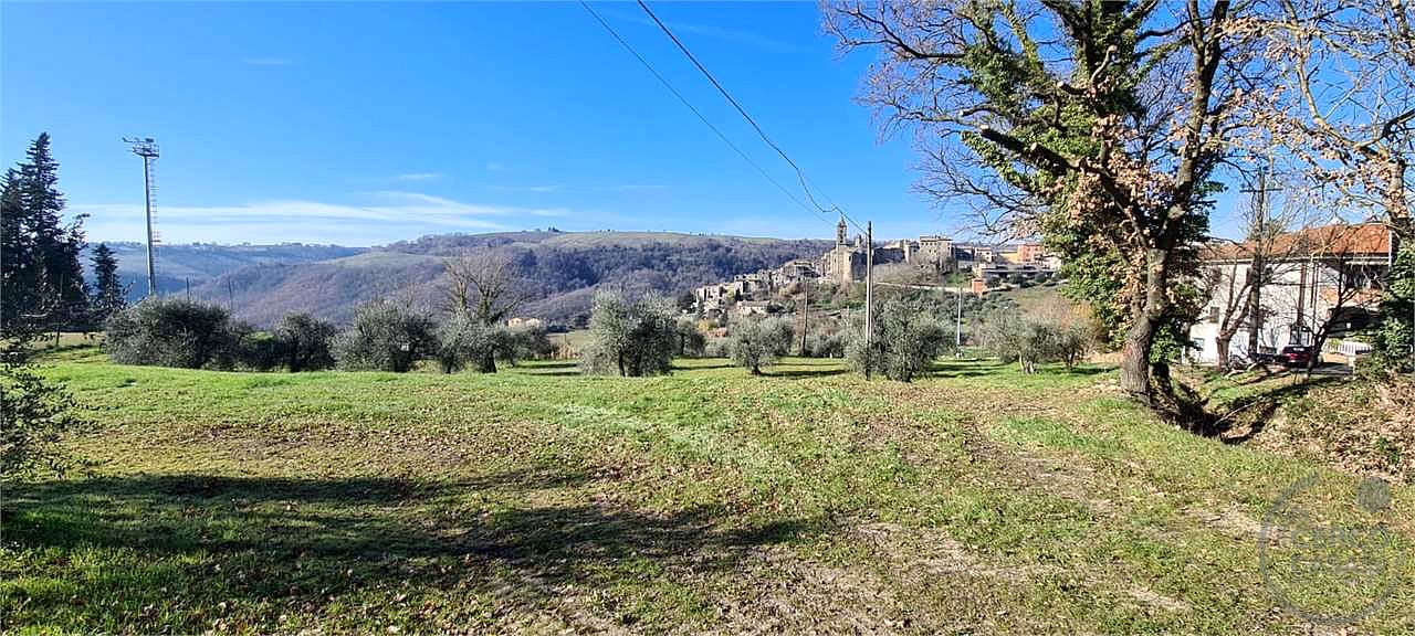 ORVIETO: TERRENO AGRICOLO