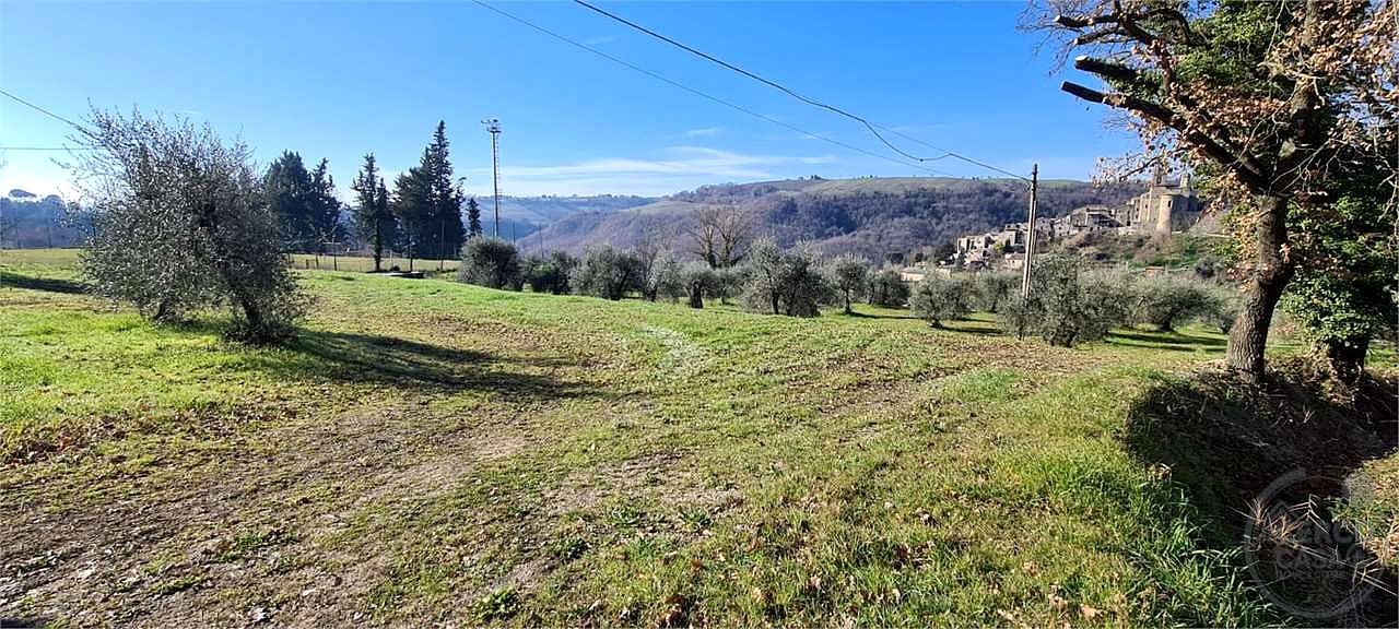 ORVIETO: TERRENO AGRICOLO