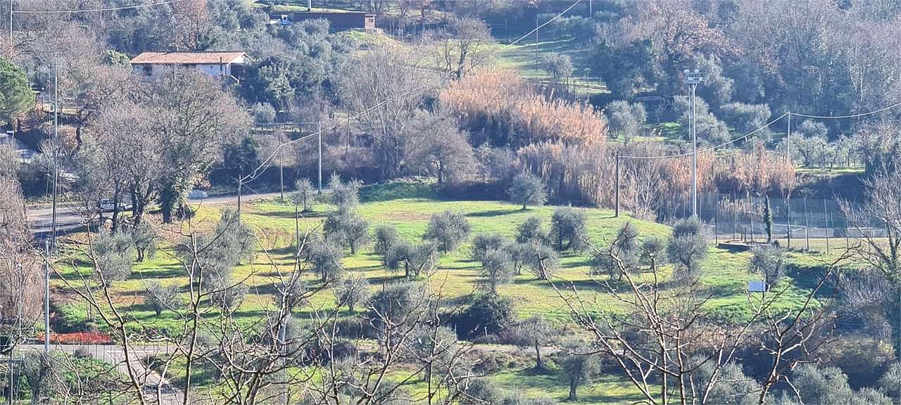 ORVIETO: TERRENO AGRICOLO