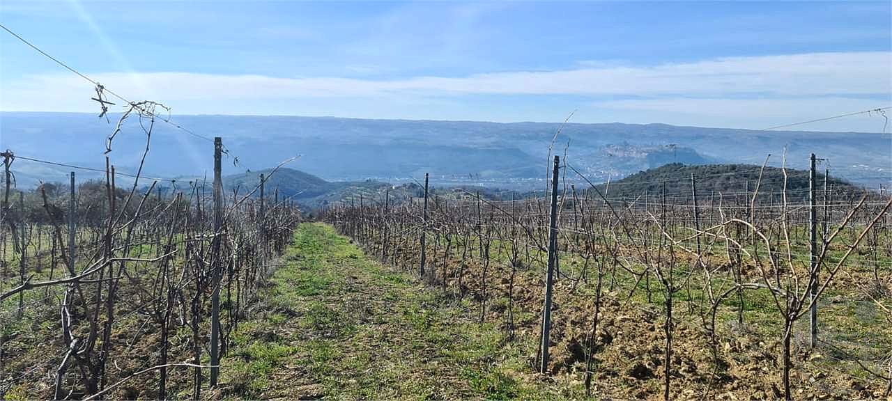 ORVIETO: TERRENO AGRICOLO