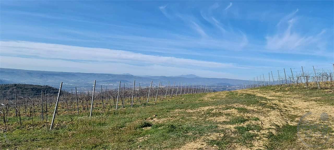 ORVIETO: TERRENO AGRICOLO
