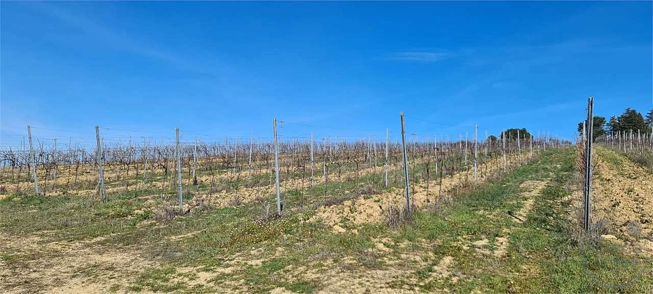 ORVIETO: TERRENO AGRICOLO