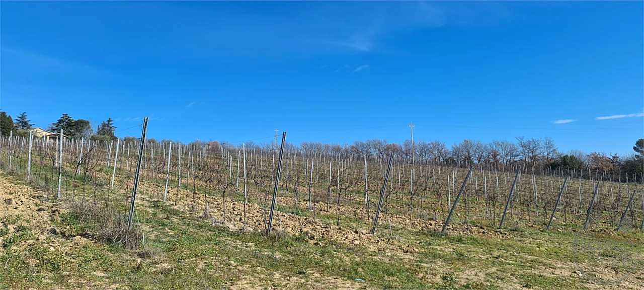 ORVIETO: TERRENO AGRICOLO