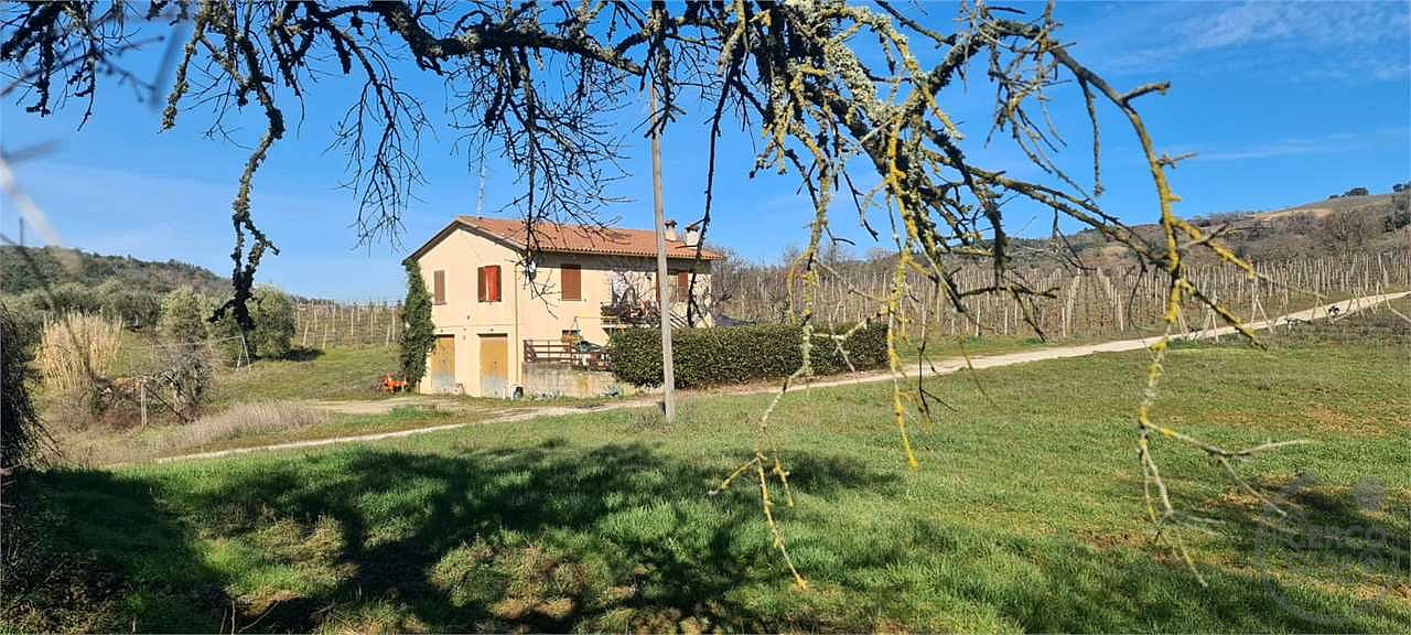 ORVIETO: TERRENO AGRICOLO