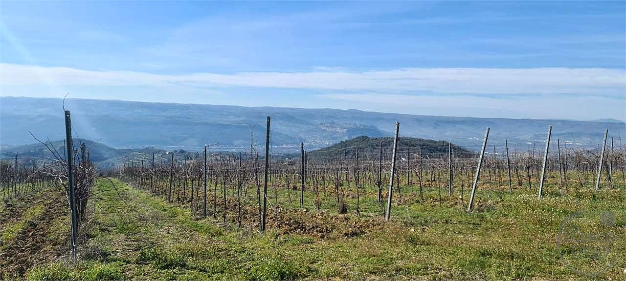 ORVIETO: TERRENO AGRICOLO