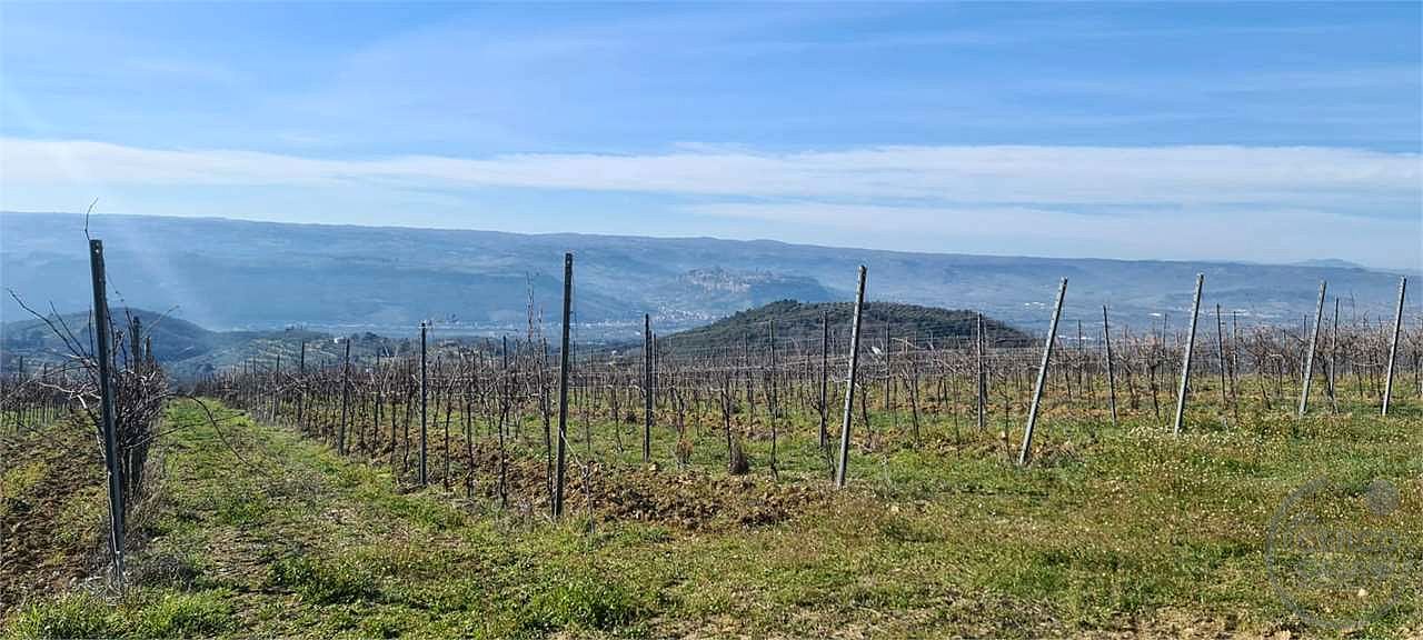 ORVIETO: TERRENO AGRICOLO