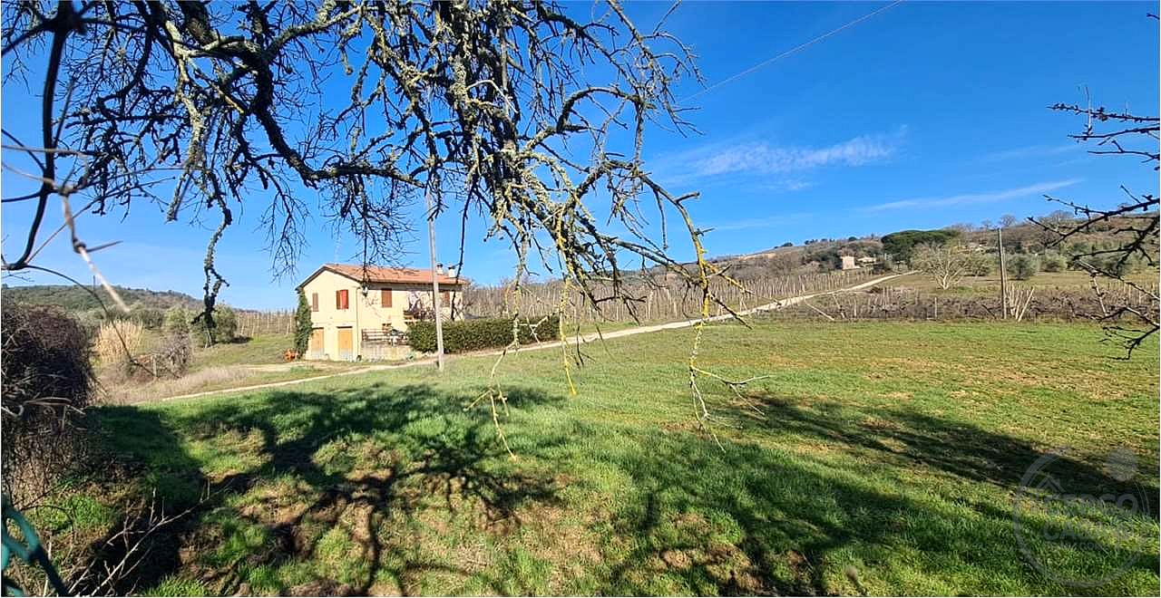ORVIETO: TERRENO AGRICOLO