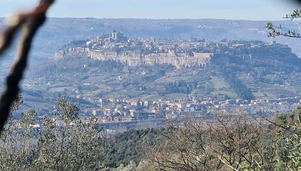 ORVIETO: TERRENO AGRICOLO