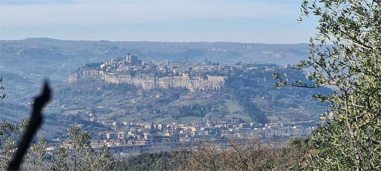 ORVIETO: TERRENO AGRICOLO