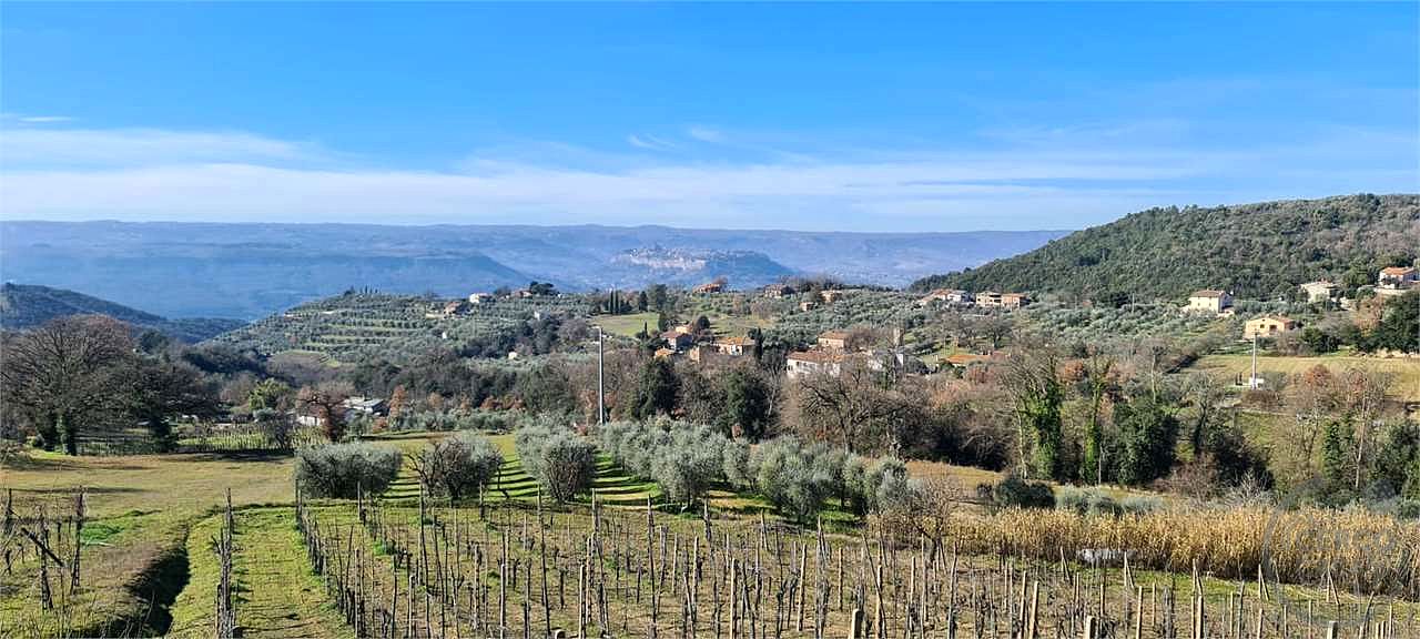 ORVIETO: TERRENO AGRICOLO