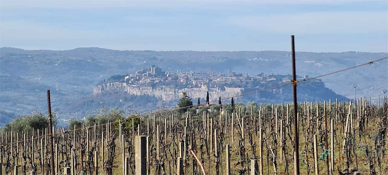 ORVIETO: TERRENO AGRICOLO