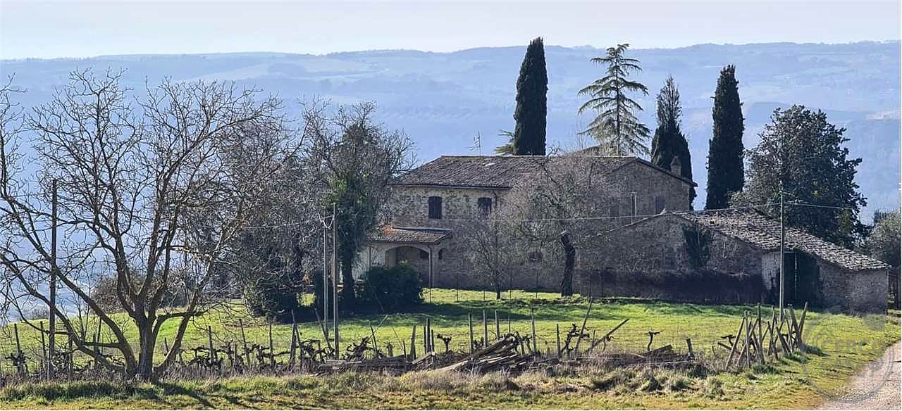 ORVIETO: TERRENO AGRICOLO