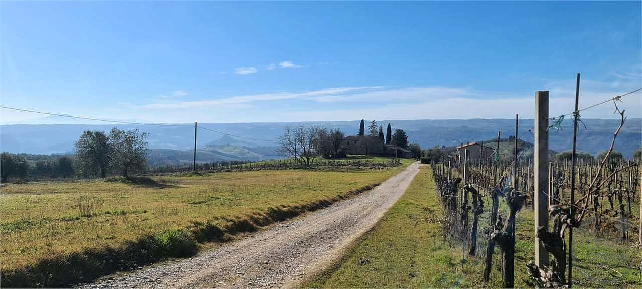 ORVIETO: TERRENO AGRICOLO
