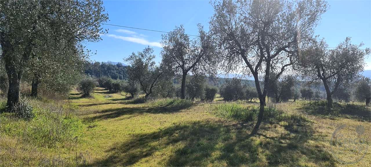 ORVIETO: TERRENO AGRICOLO