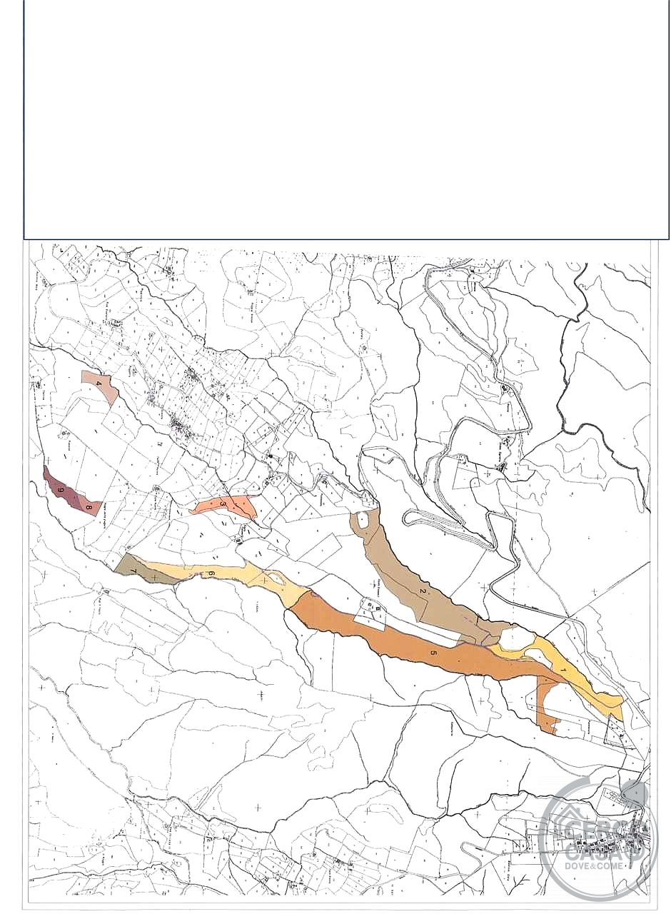 ORVIETO: TERRENO AGRICOLO