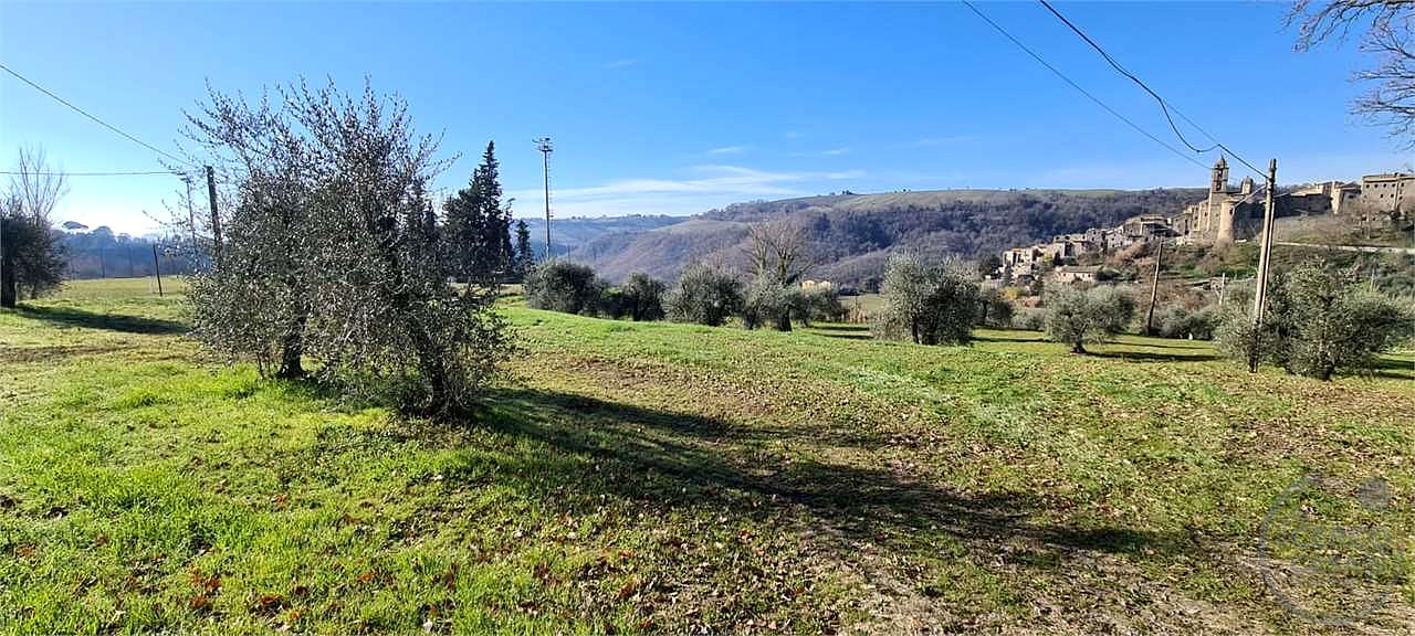 ORVIETO: TERRENO AGRICOLO