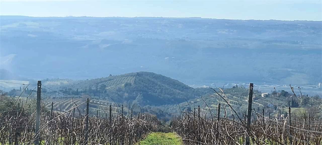 ORVIETO: TERRENO AGRICOLO