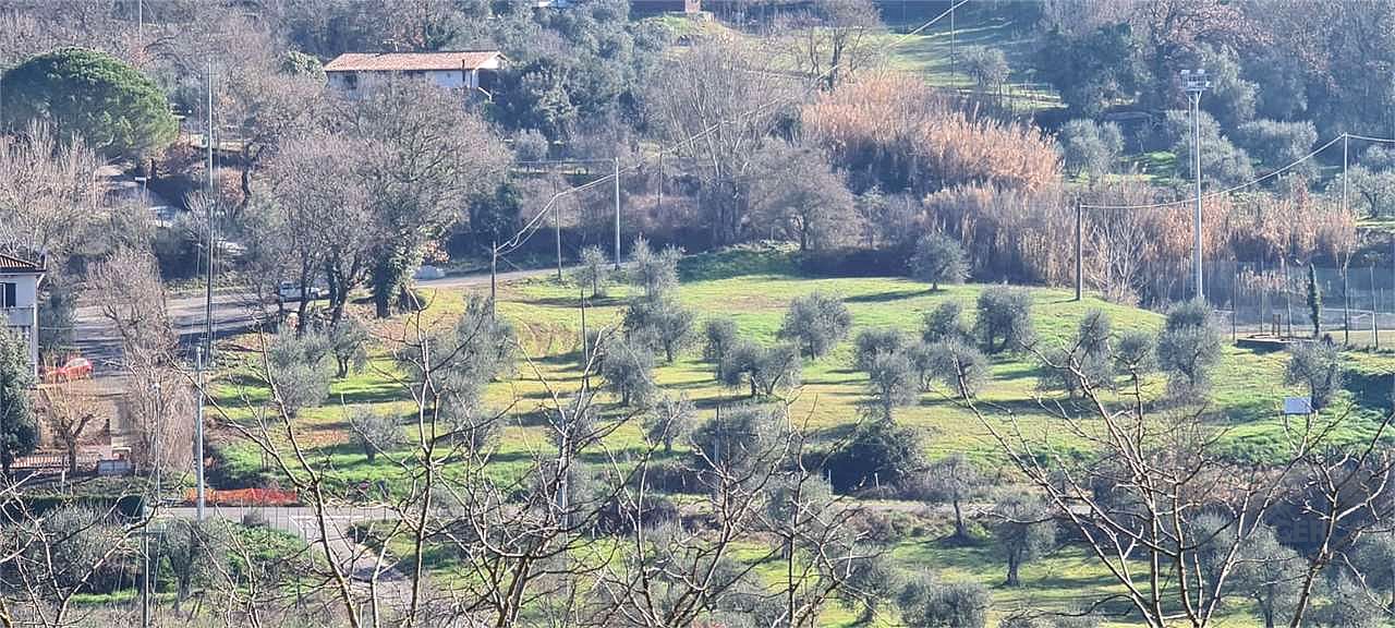 ORVIETO: TERRENO AGRICOLO