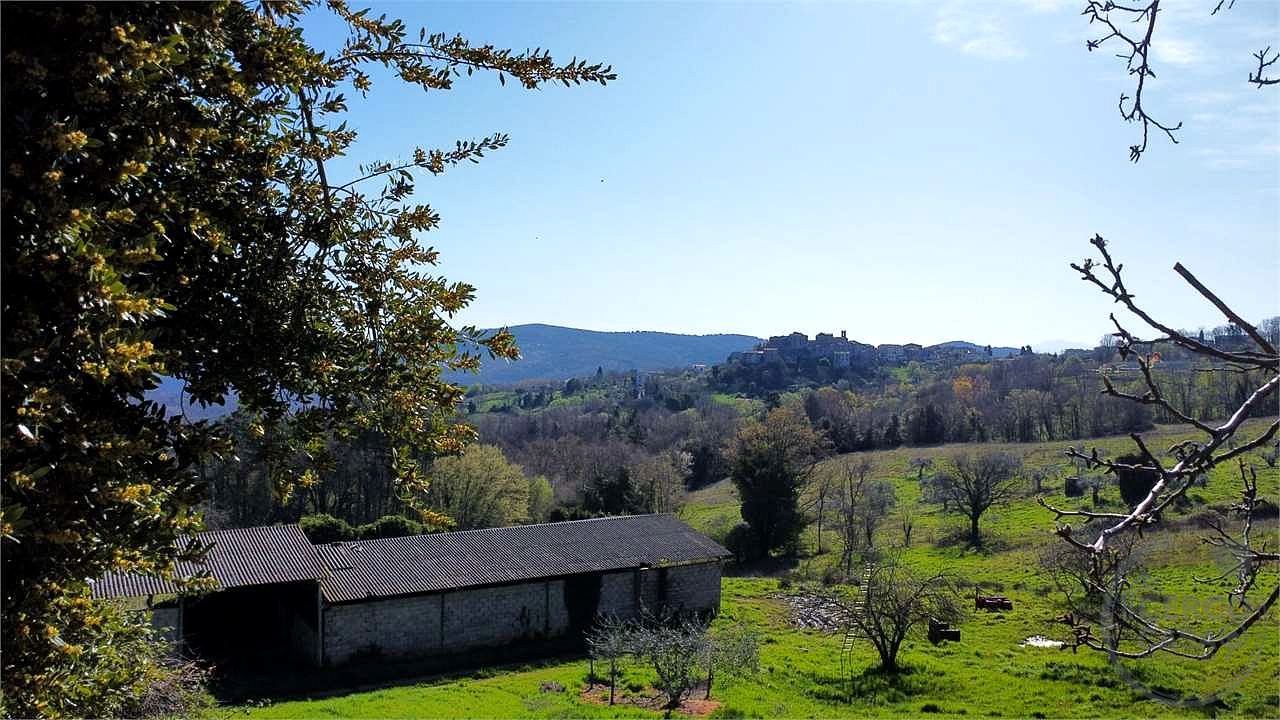 RISERVA NATURALE VAL DI FARMA - CASALE E TERRENO