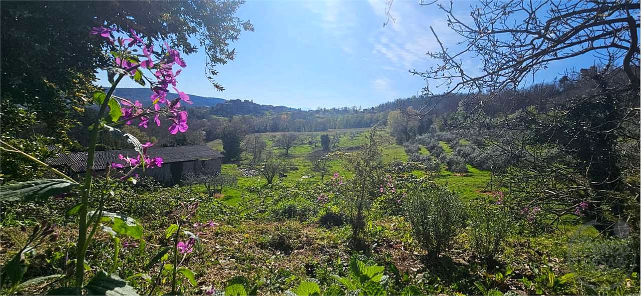 RISERVA NATURALE VAL DI FARMA - CASALE E TERRENO