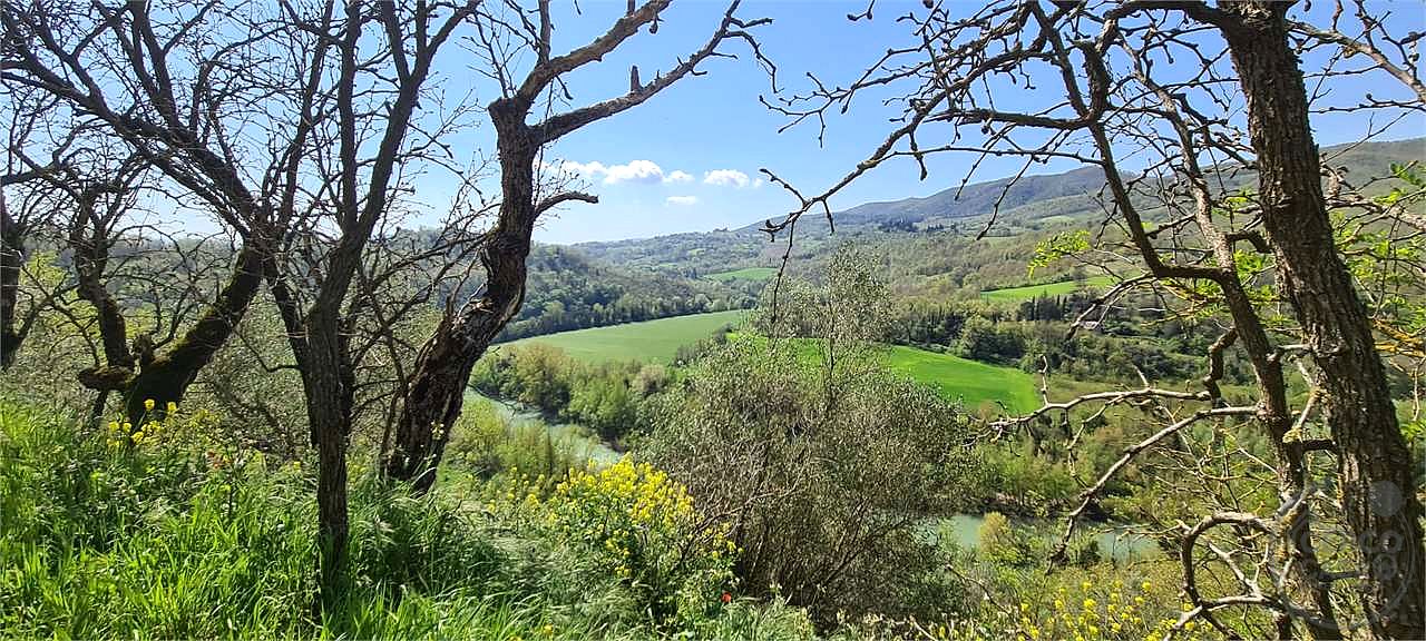 TODI - MONTEMOLINO: CASALE CON TERRENO
