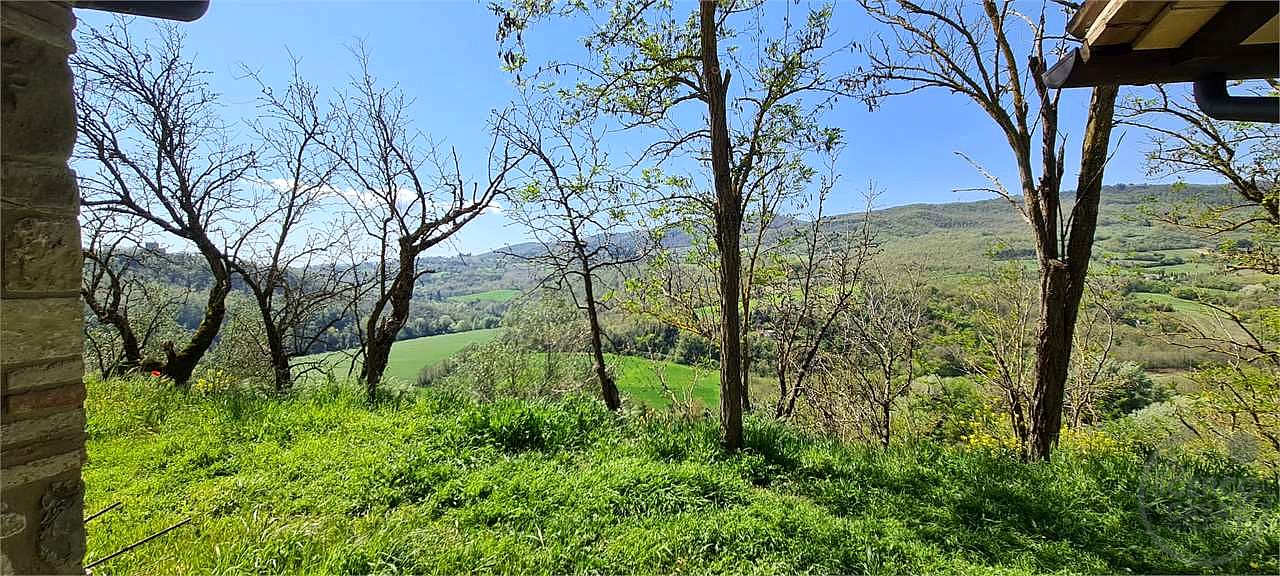 TODI - MONTEMOLINO: CASALE CON TERRENO