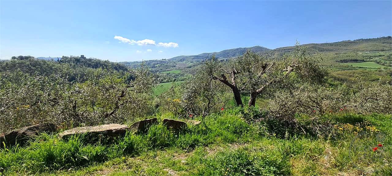TODI - MONTEMOLINO: CASALE CON TERRENO