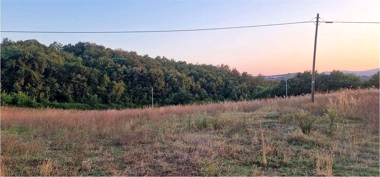 MASSA MARTANA: TERRENO AGRICOLO