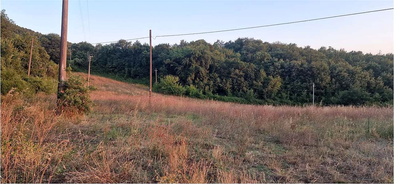 MASSA MARTANA: TERRENO AGRICOLO