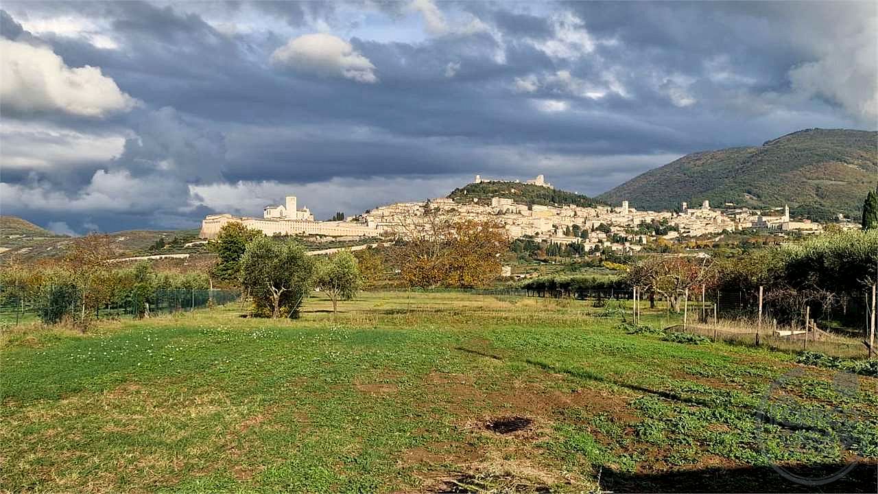 ASSISI: TERRENO IN VENDITA