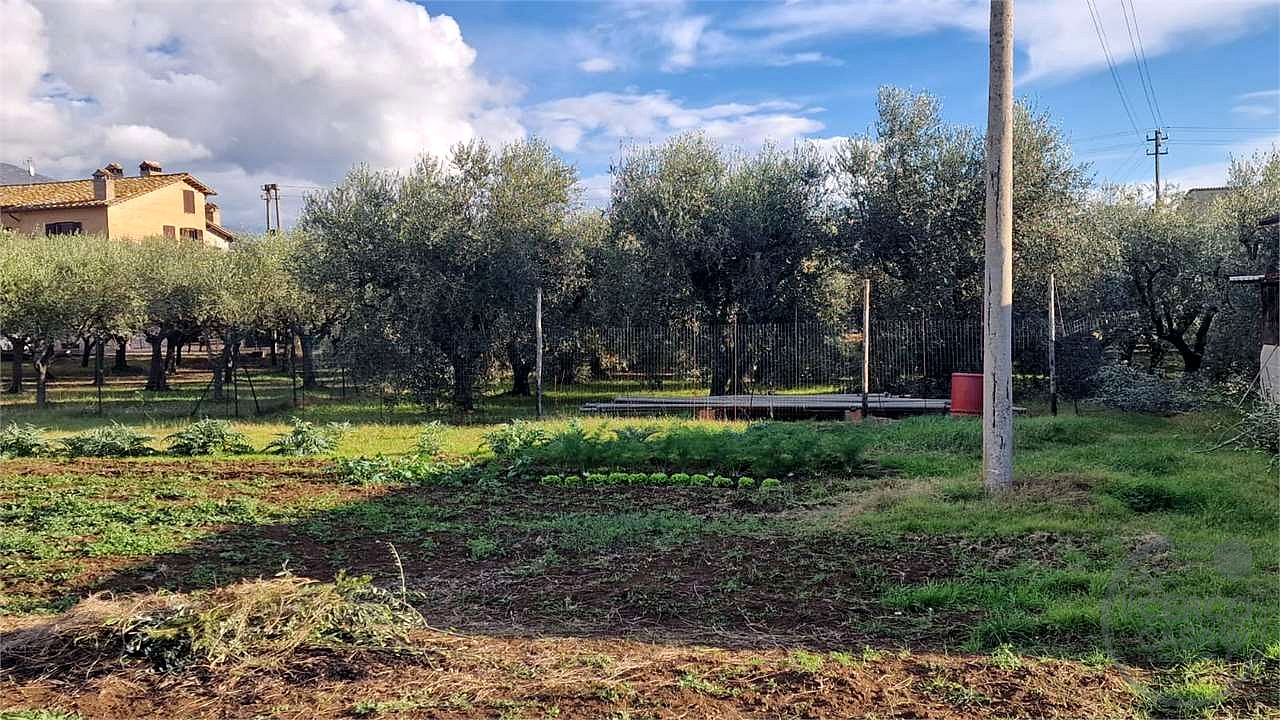 ASSISI: TERRENO IN VENDITA