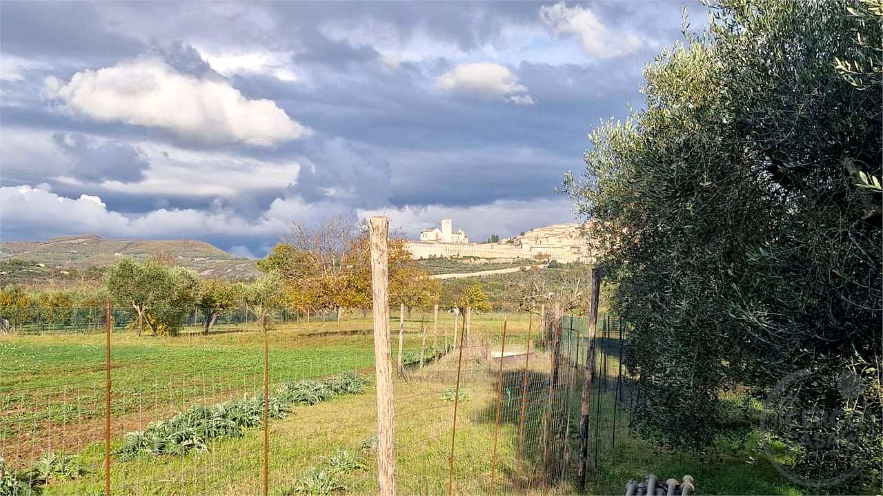 ASSISI: TERRENO IN VENDITA