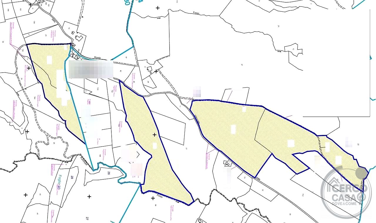 COLLAZZONE - GAGLIETOLE: TERRENO AGRICOLO IN VENDITA