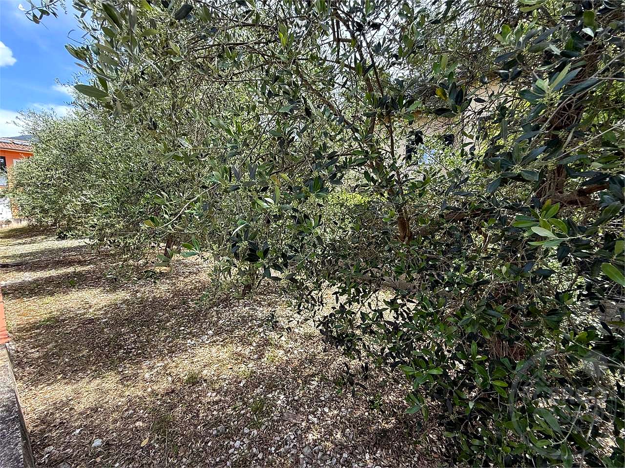 SPELLO - CAPITAN LORETO: VILLA CON DUE UNITA' ABITATIVE E TERRENO CIRCOSTANTE