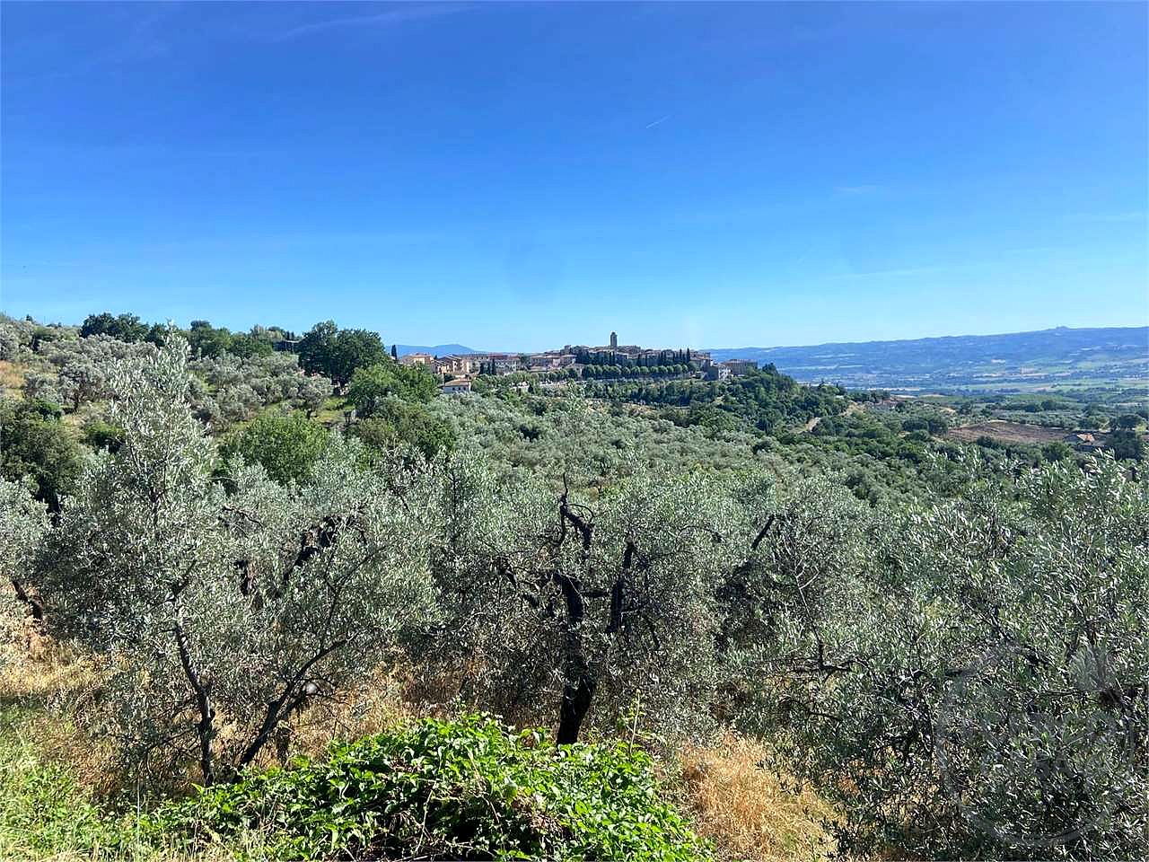 MONTECCHIO: APPARTAMENTO CON VISTA PANORAMICA