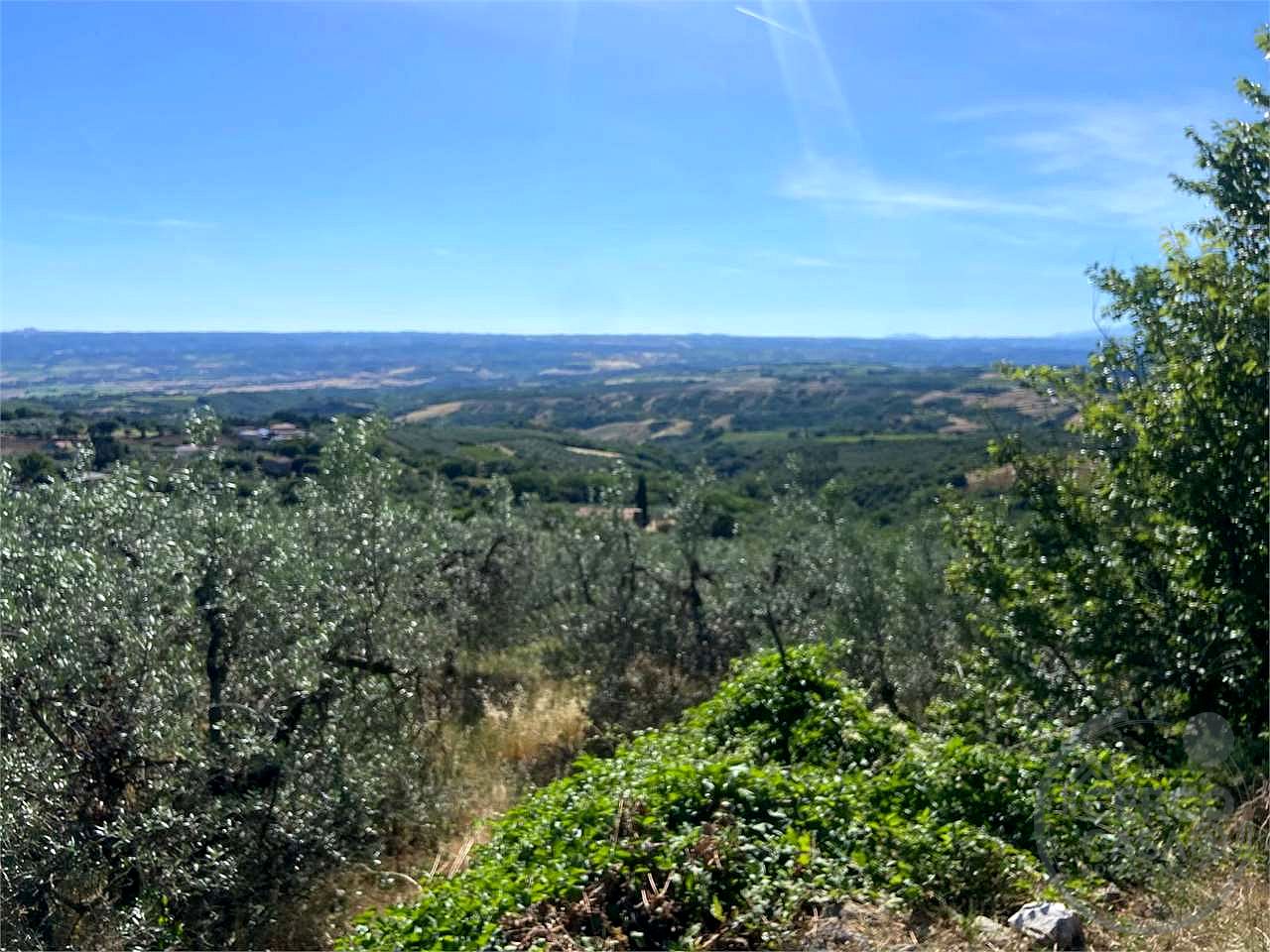 MONTECCHIO: APPARTAMENTO CON VISTA PANORAMICA