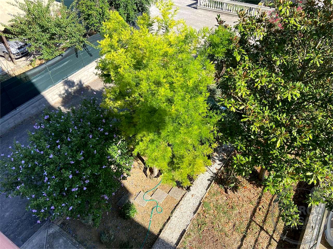 PERUGIA - BOSCO: LUMINOSO APPARTAMENTO CON PICCOLO GIARDINO E ORTO