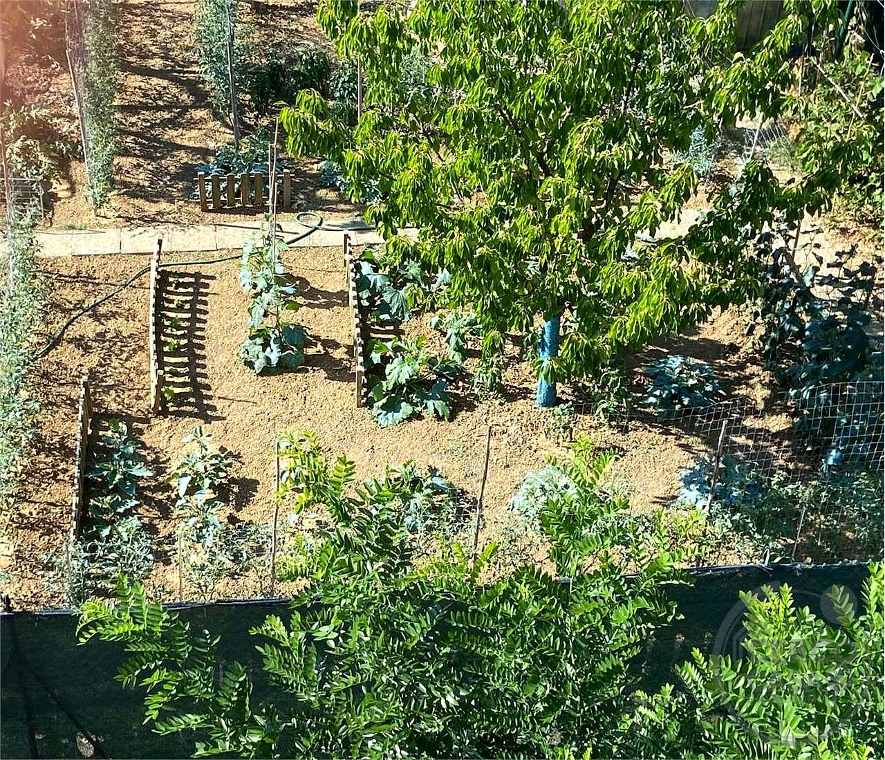 PERUGIA - BOSCO: LUMINOSO APPARTAMENTO CON PICCOLO GIARDINO E ORTO