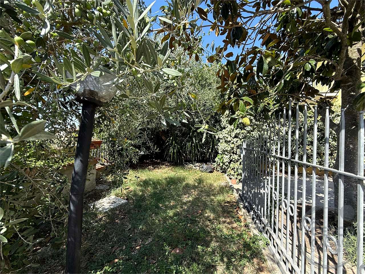 ASSISI - TORDIBETTO - APPARTAMENTO AL PIANO TERRA RIALZATO CON CORTE ESCLUSIVA